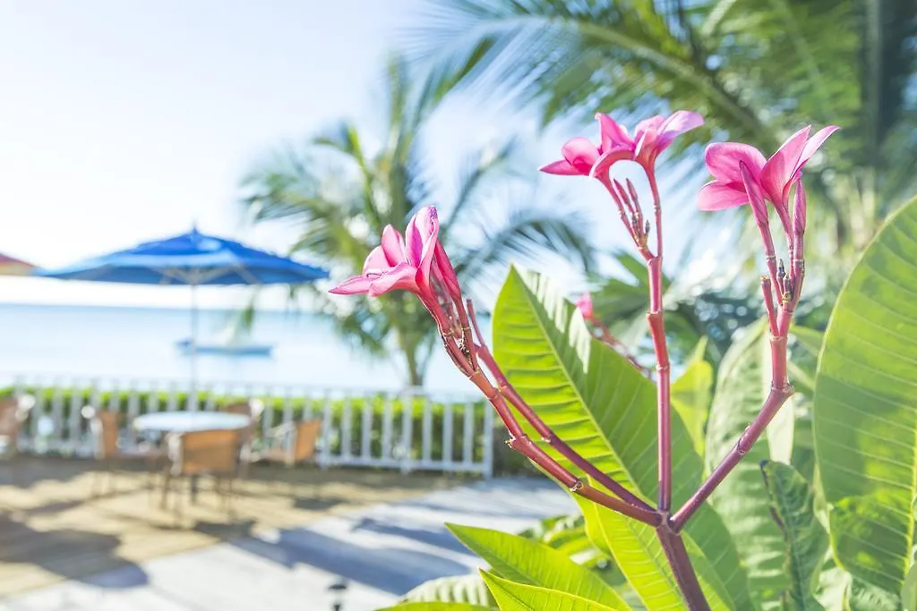 Cape Santa Maria Beach Resort & Villas Seymourʼs Bahamalar